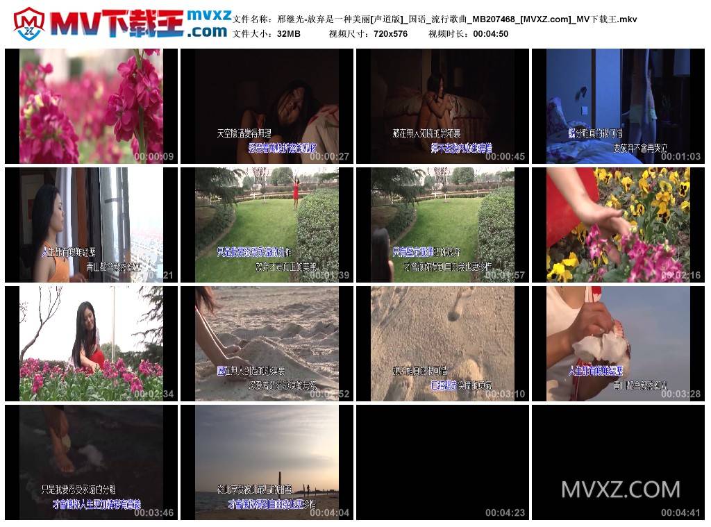 邢继光-放弃是一种美丽[声道版]_国语_流行歌曲_MB207468